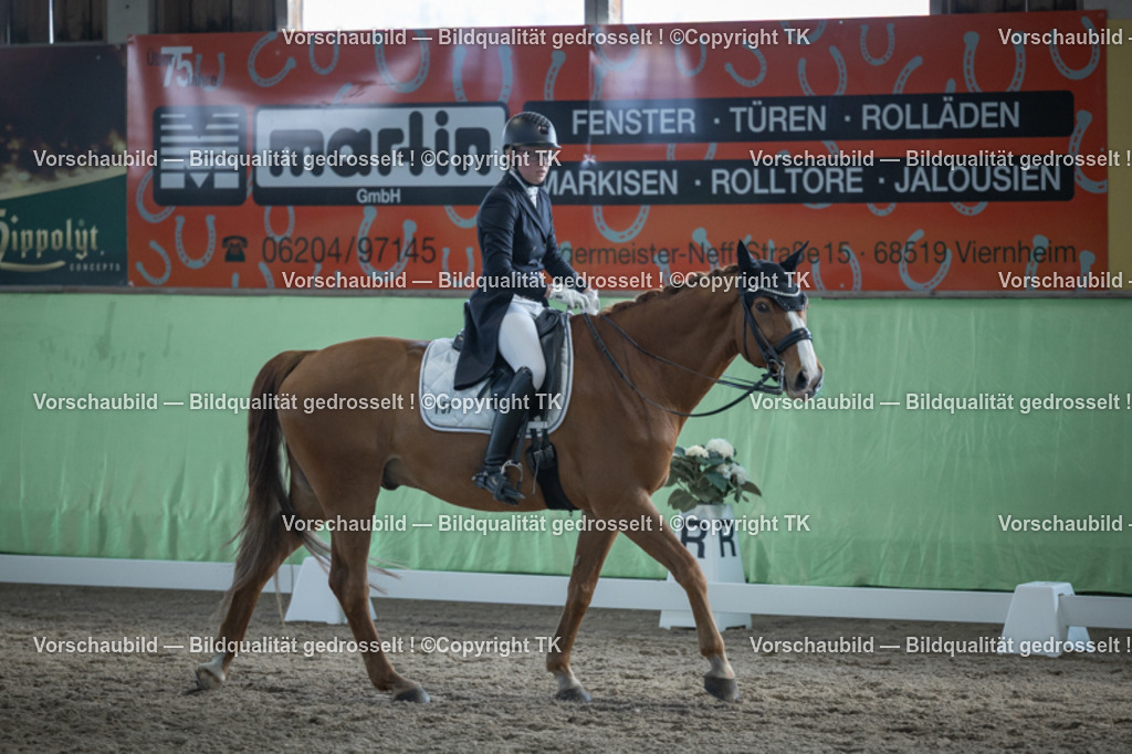 _D5A0476 | Emotionale Pferde- & People-Fotografie rund um Heidelberg, Leimen & Umgebung. Natürliche Fotos von Pferd, Mensch & Familie. Jetzt Termin sichern!