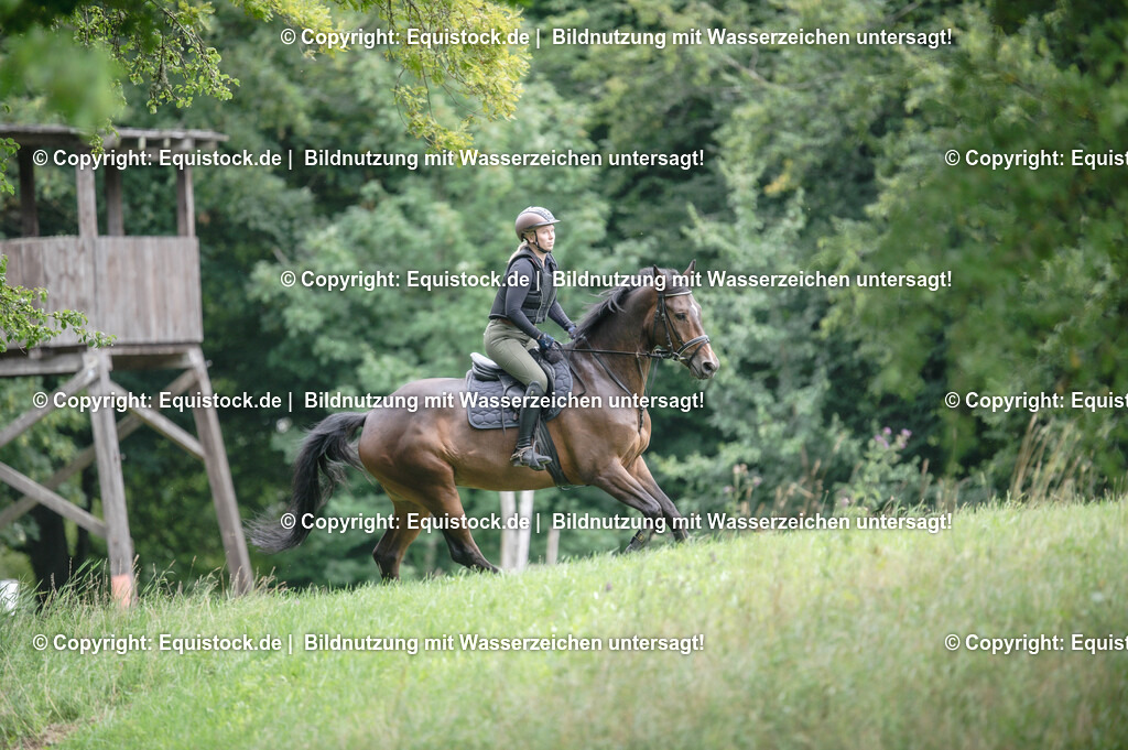 20250726_Vielseitigkeitslehrgang-Marbach_0773 | Foto: Thomas Hartig