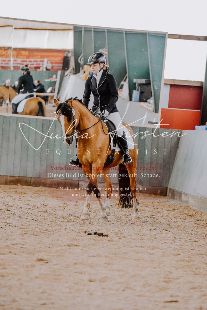 DSC_7617 | Pferde- und Turnierfotografie in Westsachsen. Pferdeportraits, Auftragszeichnungen und intuitive Kunst.