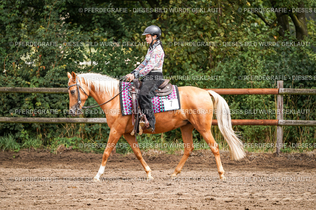 DSC04596 | Pferdegrafie