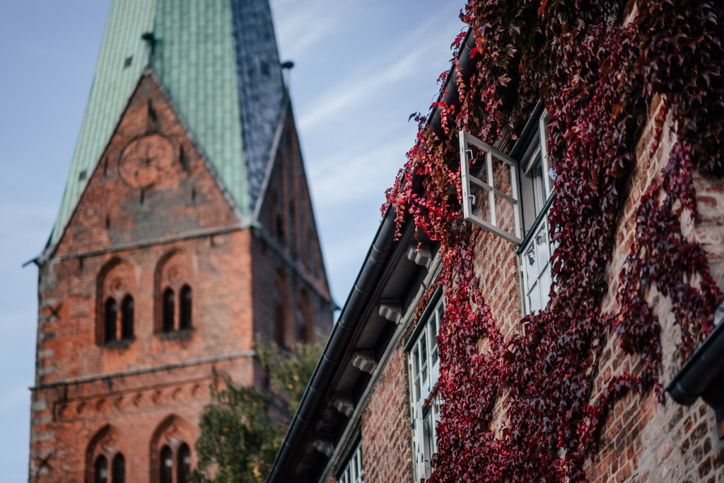 DSC_2854 Kopie | Du suchst natürliche und atmosphärische Prints oder Leinwanddrucke? In diesem Shop gibt es alles, nur kein Mainstream. - Realisiert mit Pictrs.com