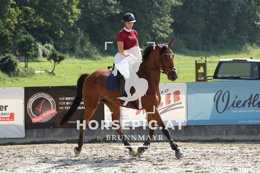 0P6A8652 | Willkommen bei Brunnmayr - Design & Fotografie – Ihrem Spezialisten für Reitturniere und Pferdeveranstaltungen in Oberösterreich, Salzburg und Bayern! Seit über 17 Jahren sind wir leidenschaftlich dabei.