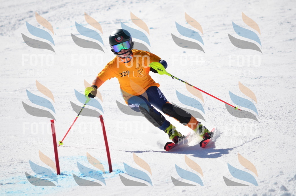 C9660 | holidayphoto