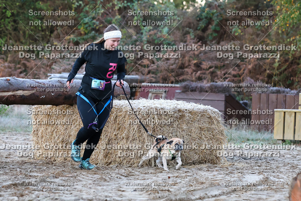 Dog Paparazzi - Strongdog 10-25-48 | Dog Paparazzi Jeanette Grottendiek Fotografie & Videografie - Realisiert mit Pictrs.com