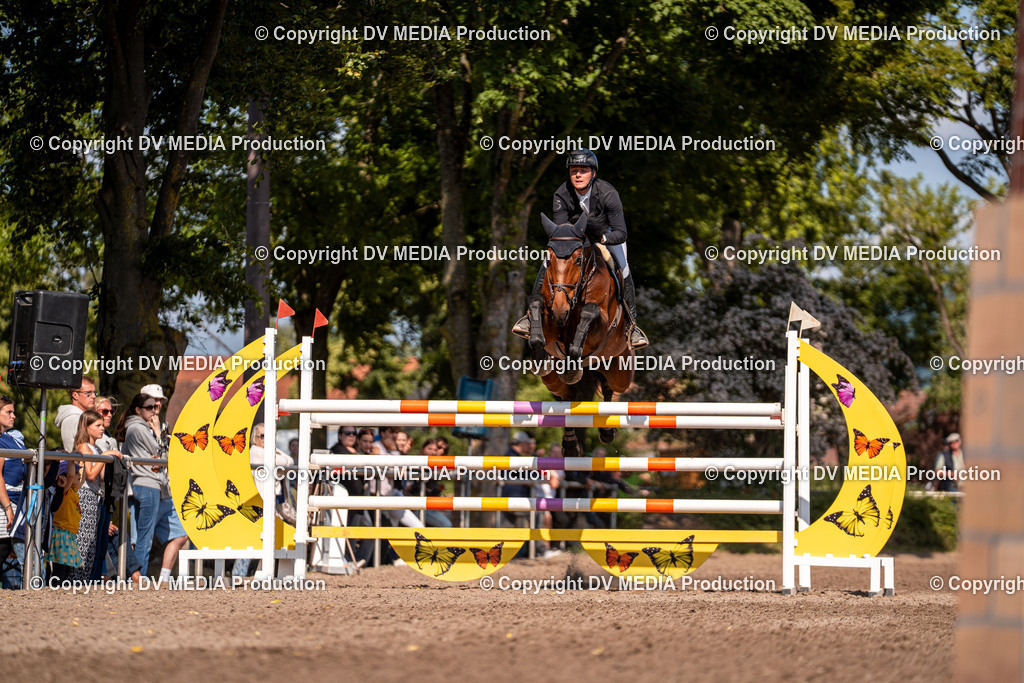 Eppelheim Tag 3-918 | dv-media-shop - Realisiert mit Pictrs.com