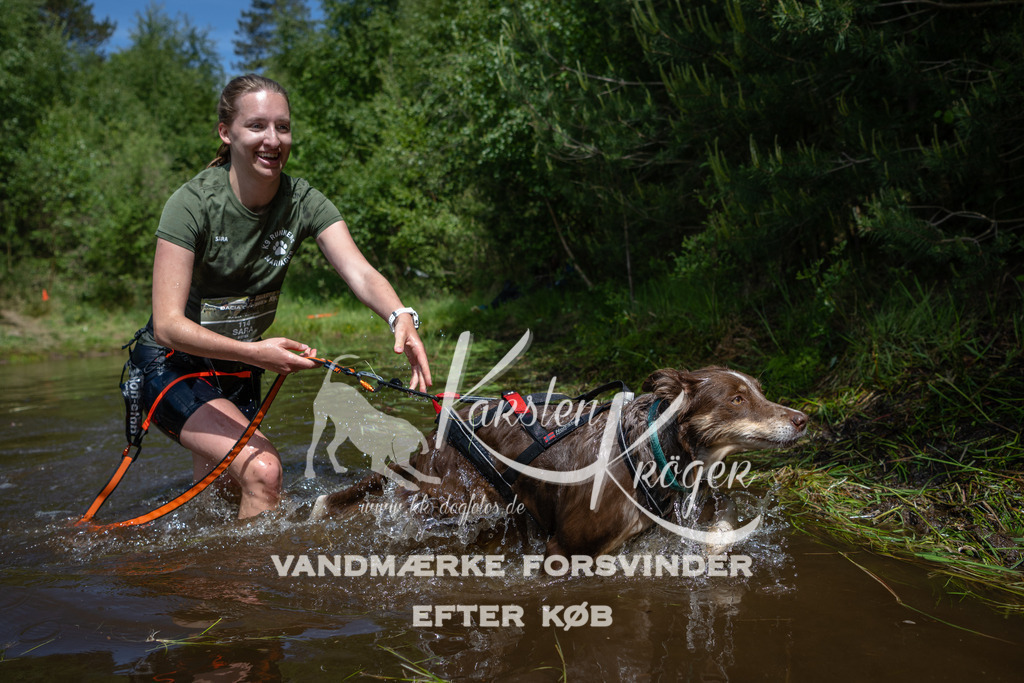 1202DKK991609 | kk-dogfotos