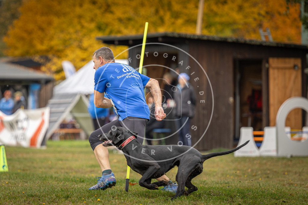 Pfotenfotografie_DV3A1928 | Hundefotografie, Tierfotograf, Pfotenfotografie, Fotoshooting Hund, Hunde Portrait, Hundesport, Hundeportraits, Heideshooting, Hunde, Sportfotograf, Hundefotograf, Turnierhundsport, THS,  - Realisiert mit Pictrs.com