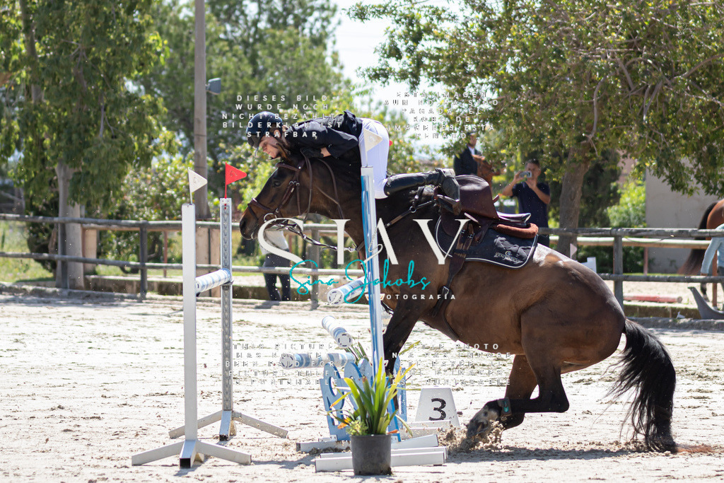 IMG_9935 | s-jay-photography - Realisiert mit Pictrs.com