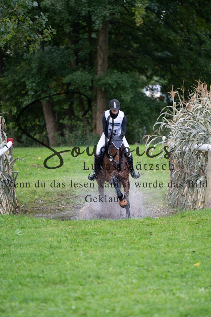 A7V02948 | Pferdefotograf