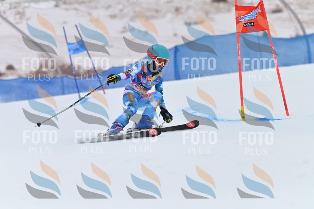 BGV_1042 | holidayphoto