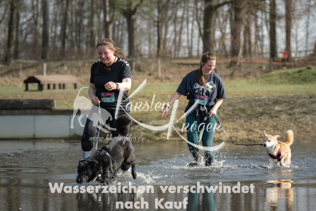 1359_ZZ99277 | kk-dogfotos