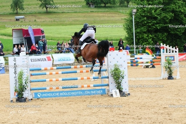 OHT1851 | Fotografie, Tiere, Hunde, Katzen, Pferde, Sportfotografie, Fotosession, Tierfotografie, Turnierfotografie, Fotografin, Fotograf - Realisiert mit Pictrs.com