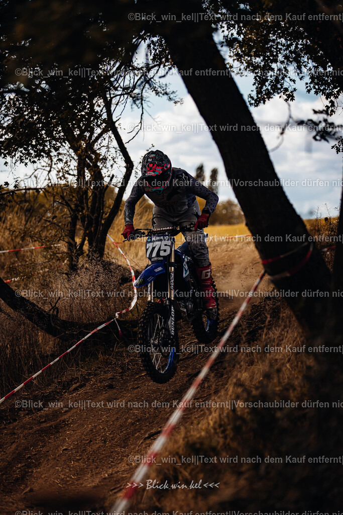 E68A3046 | blick_win_kel