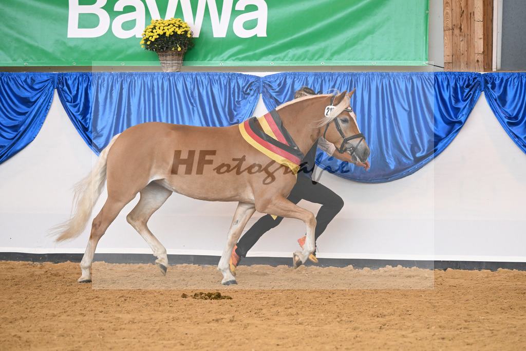 Kat-Nr. 215 Lady_Wagner_54223325 | hf-fotografie - Realisiert mit Pictrs.com