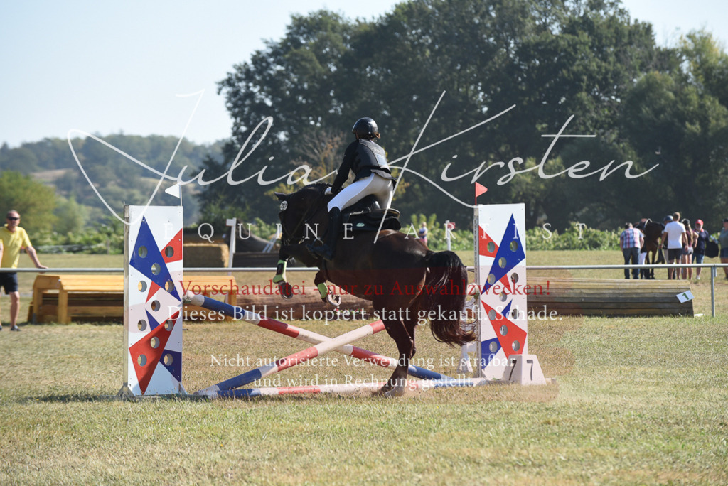 DSC_6011 | Pferde- und Turnierfotografie in Westsachsen. Pferdeportraits, Auftragszeichnungen und intuitive Kunst.