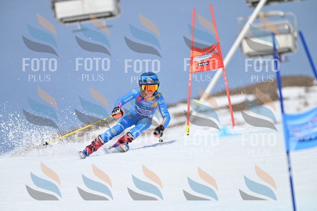 BGV_2228 | holidayphoto