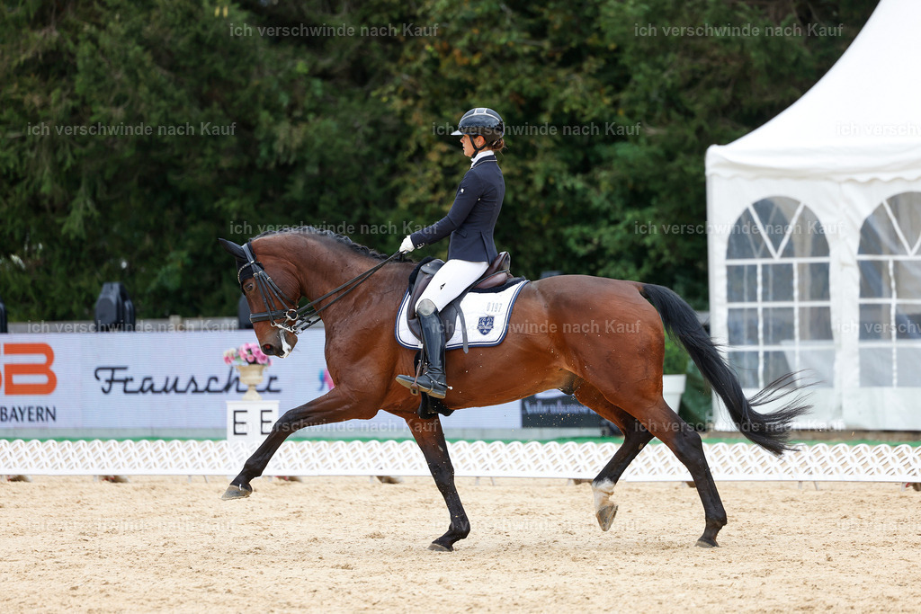3-197-Dressur M_-StoibPH-2453 | working equitationturnier fotograf videograf stoibphotography marixx film working equitation deutschland reitsport turnierfotografie eventfotografie equestrian events