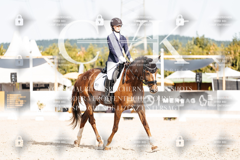 CK905137 | Turnierfotografie Pferdefotografie Trier Rheinland-Pfalz Pferdesport Reitsport Tierfotografie Sportfotografie Pferdevideo Pferdevideografie Equestrianvideography equestrianphotography  - Realisiert mit Pictrs.com