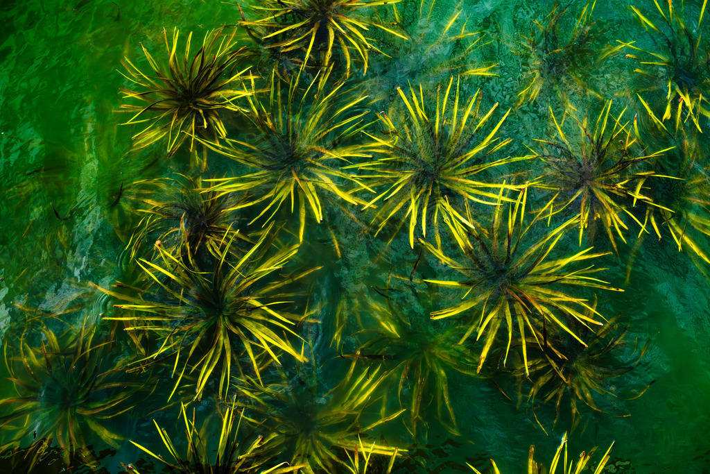 2025_09_20_SH-HEMMELSDORFER SEE+SCHARBEUTZ_MCP2733 | Hochwertig gedruckte Fotografien für die Wand, als Kalender und zum Verschenken. Hamburg & Norddeutschland und überall wo ich mit der Kamera unterwegs war.