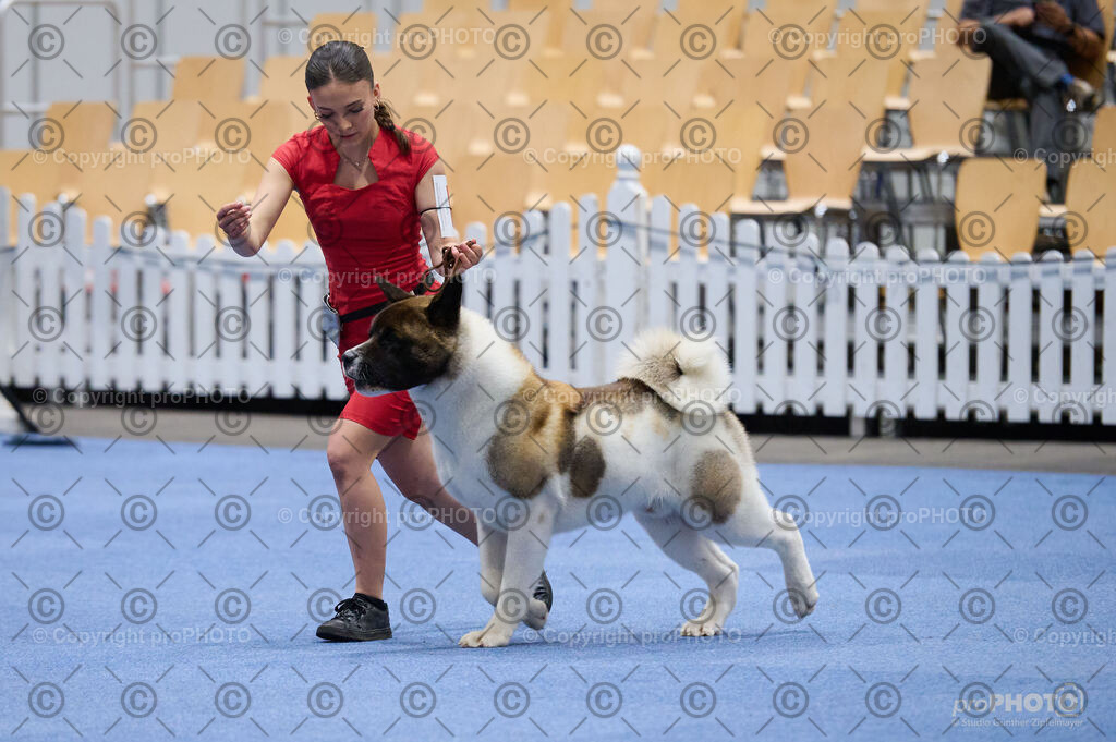 202406_ÖKV-IHA-Tulln24_DSC_3327 | proPHOTO - Realisiert mit Pictrs.com