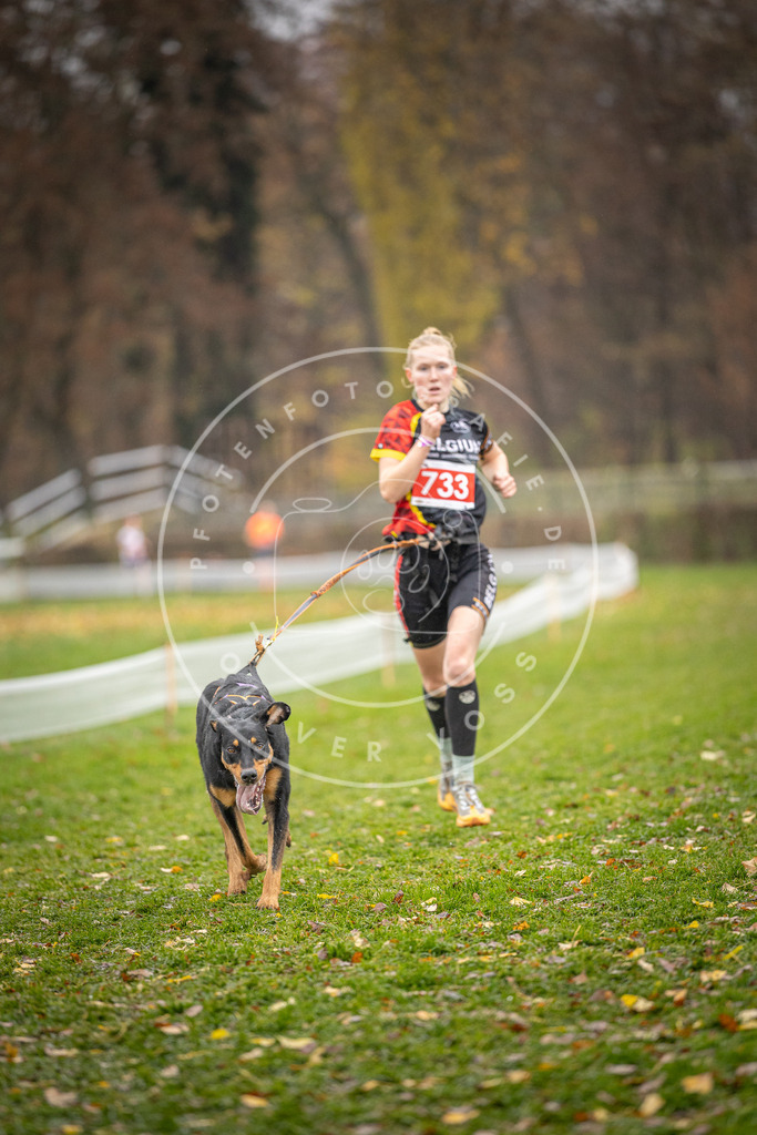 CaniXpix_DV3A9232 | Hundefotografie, Tierfotograf, Pfotenfotografie, Fotoshooting Hund, Hunde Portrait, Hundesport, Hundeportraits, Heideshooting, Hunde, Sportfotograf, Hundefotograf, Turnierhundsport, THS,  - Realisiert mit Pictrs.com
