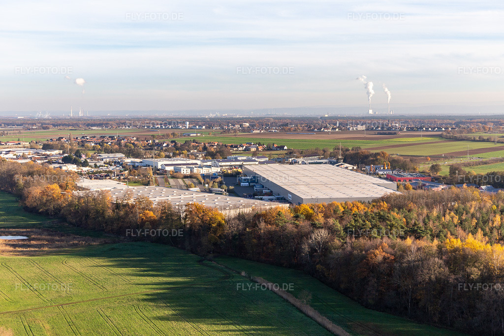 Luftbild: Gewerbegebiet Horst mit Magna Exteriors, Zufall Logistics, STS Group und Thermo Fisher im Ortsteil Minderslachen in Kandel im Bundesland Rheinland-Pfalz in Deutschland. Foto: IMG_123943.jpg vom 21.11.2020 durch Werner Riehm/FLY-FOTO.de