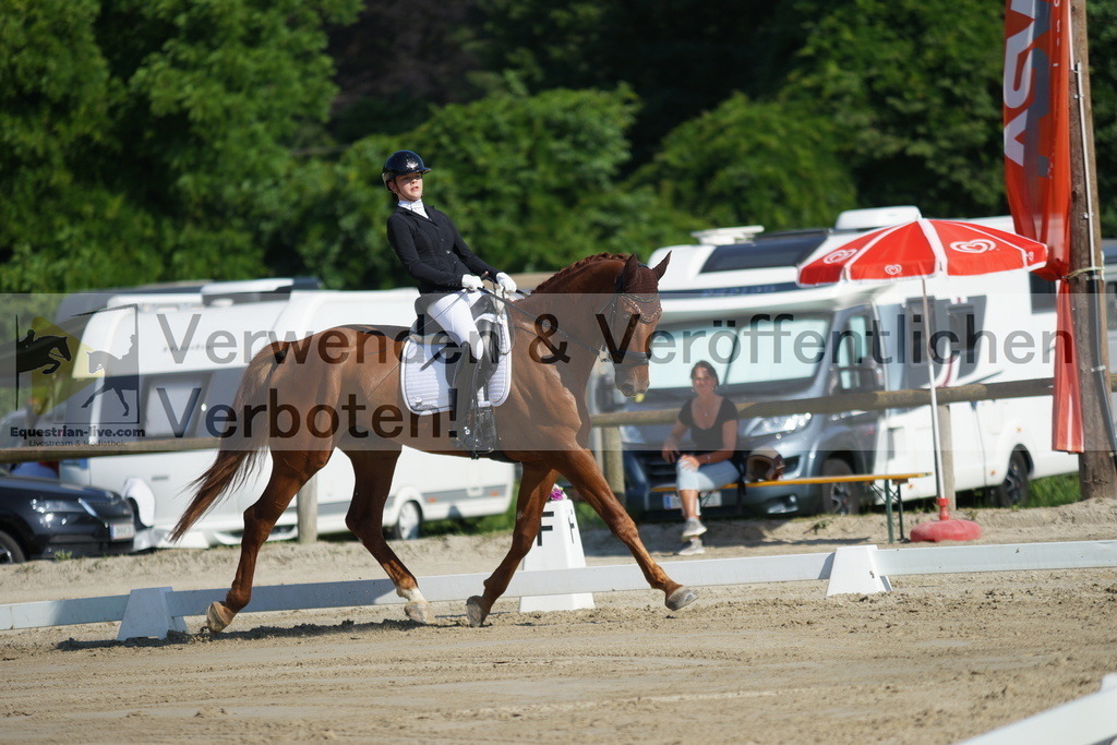 DSC03985 | equestrian-live-com