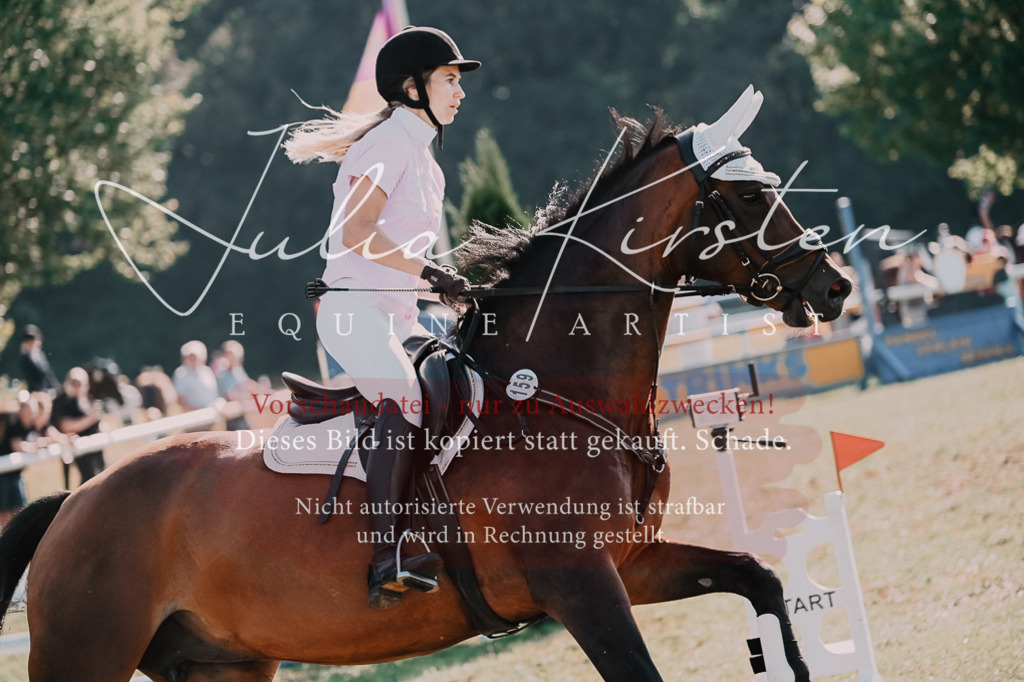 DSC_4794 | Pferde- und Turnierfotografie in Westsachsen. Pferdeportraits, Auftragszeichnungen und intuitive Kunst.