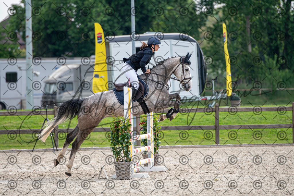 KPT_2118 | andre_photographic