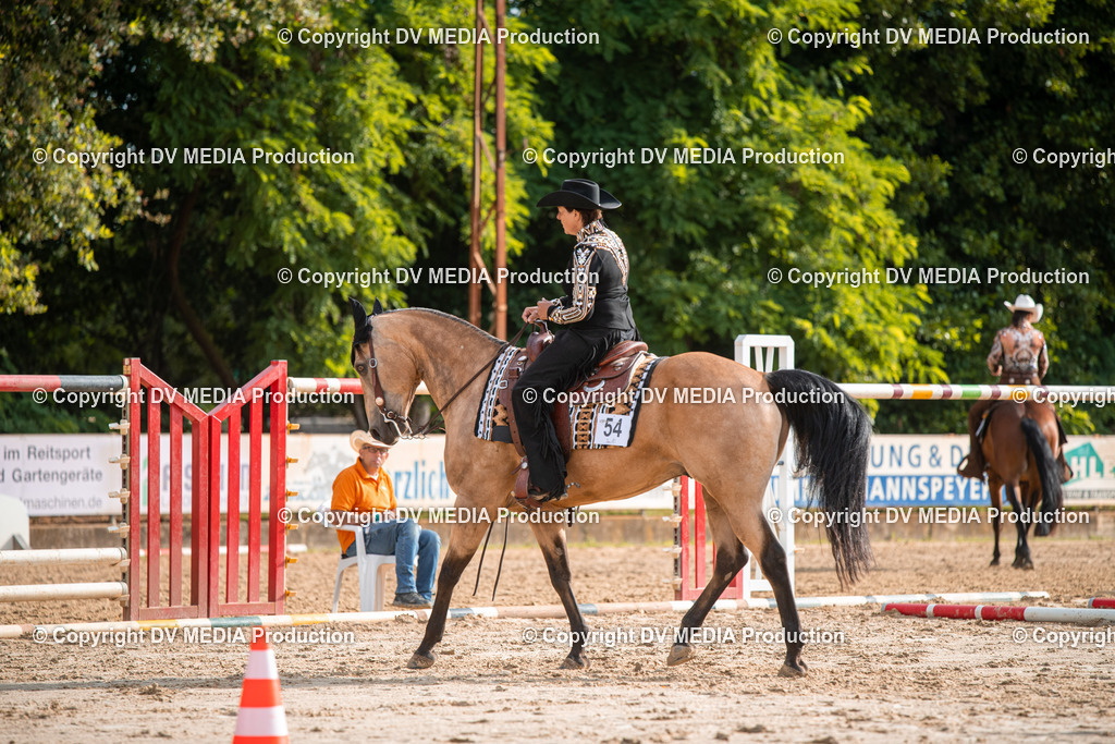 ZS3_9123 | dv-media-shop - Realisiert mit Pictrs.com