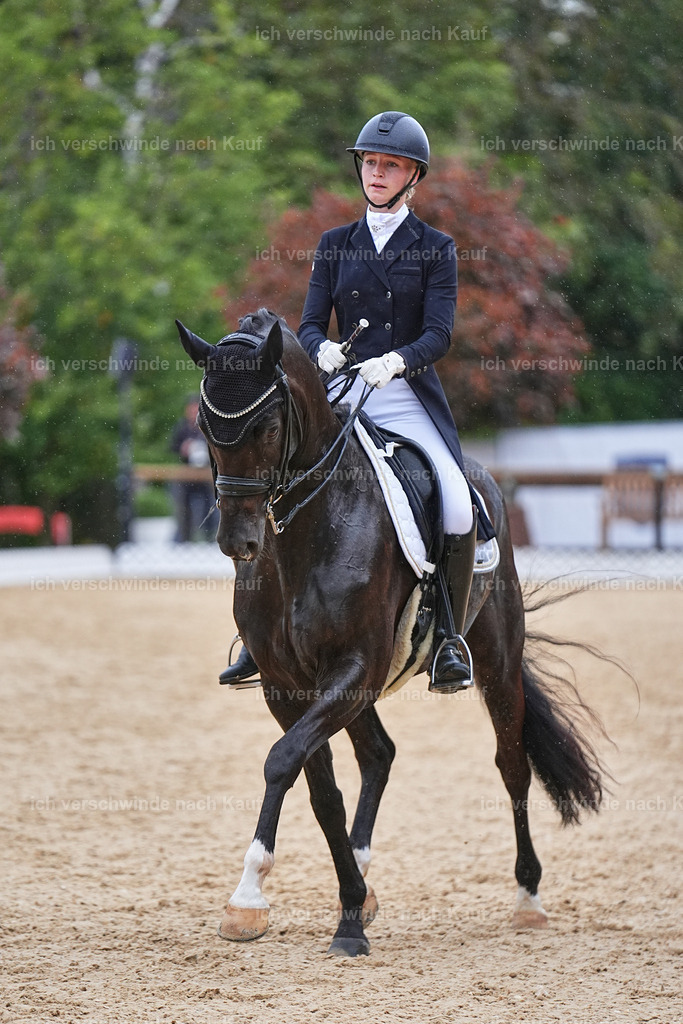 8_1-212-Klasse S_  -Marixx-4271 | working equitationturnier fotograf videograf stoibphotography marixx film working equitation deutschland reitsport turnierfotografie eventfotografie equestrian events