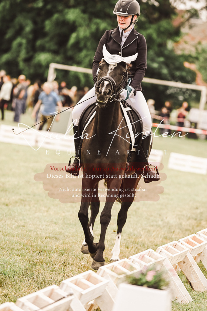 DSC_5178 | Pferde- und Turnierfotografie in Westsachsen. Pferdeportraits, Auftragszeichnungen und intuitive Kunst.