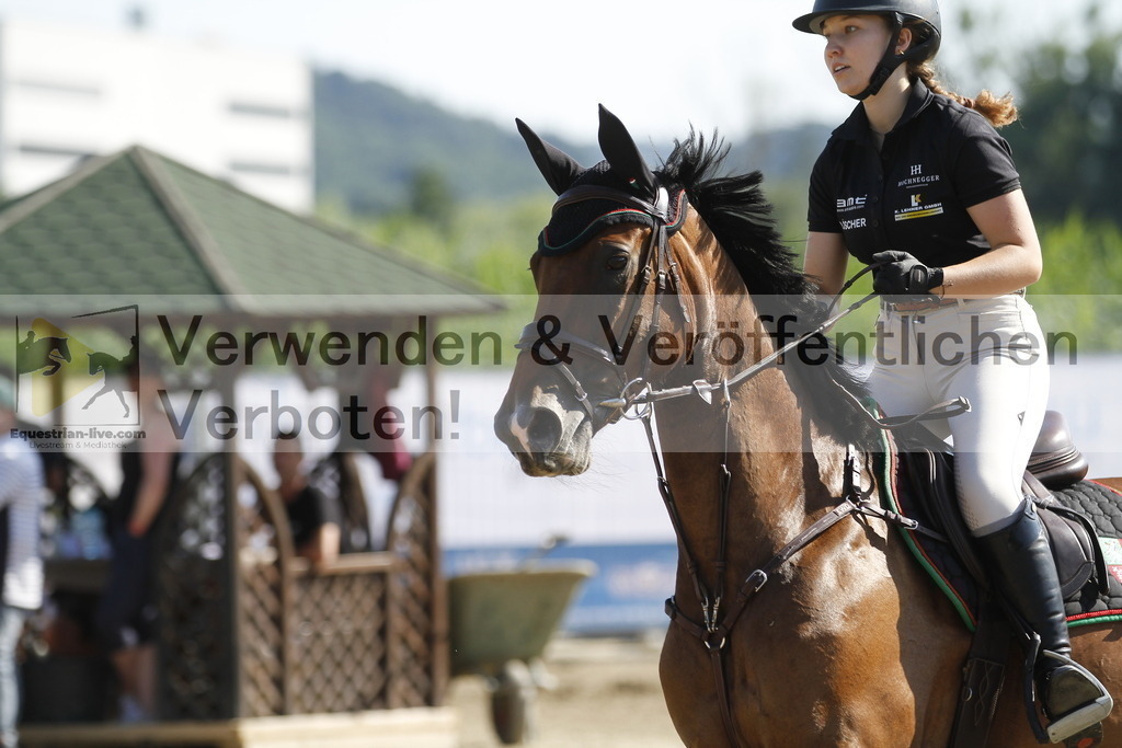 _MG_6568 | equestrian-live-com
