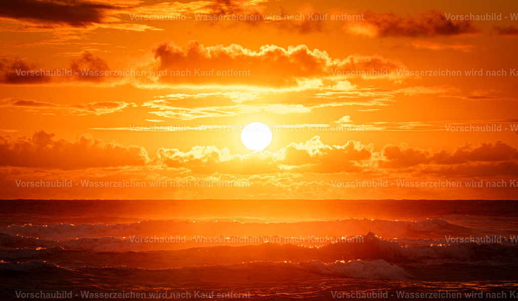 DSC02044 | marcuslinek