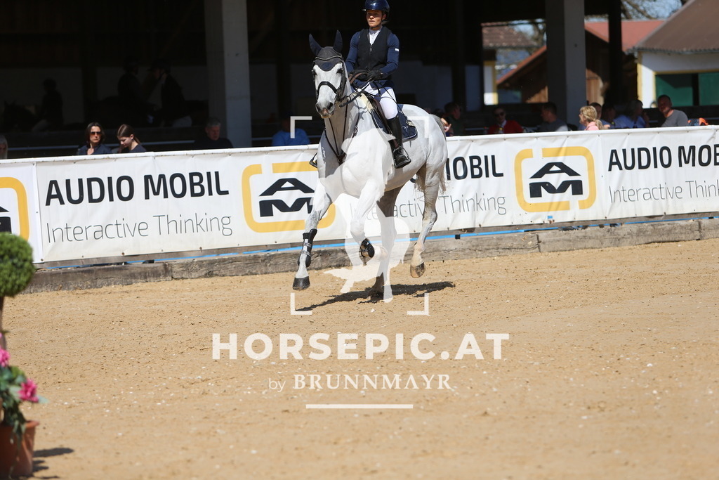 DL2Q5126 | Willkommen bei Brunnmayr - Design & Fotografie – Ihrem Spezialisten für Reitturniere und Pferdeveranstaltungen in Oberösterreich, Salzburg und Bayern! Seit über 17 Jahren sind wir leidenschaftlich dabei.