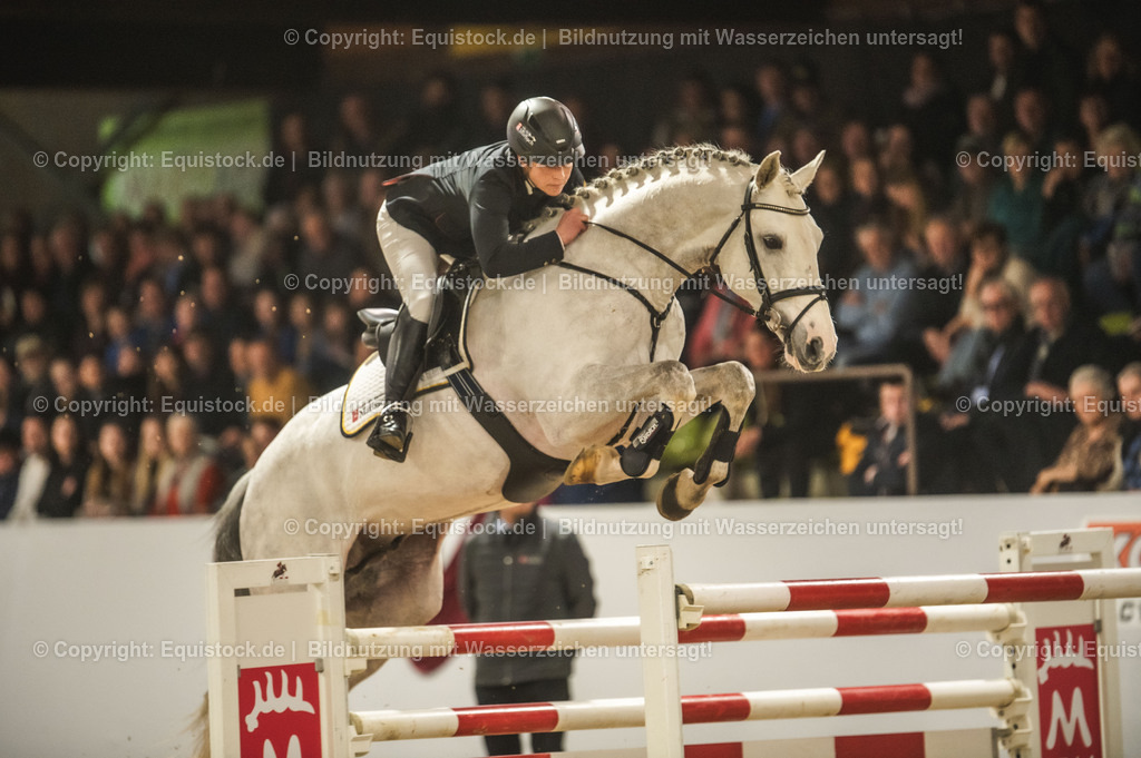 20240302_Hengstvorstellung_Marbach_TOMsPiC_1407 | equistock