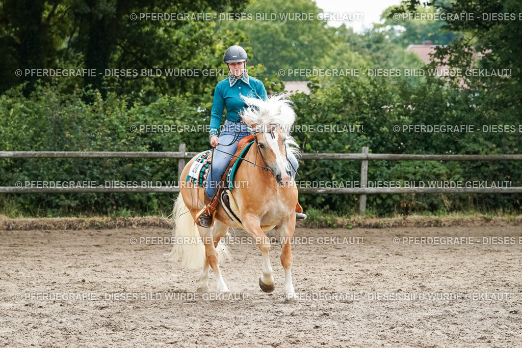 DSC04247 | Pferdegrafie