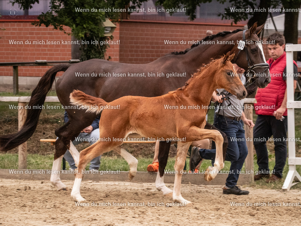 A10I6685 | photographylinaismer - Realisiert mit Pictrs.com