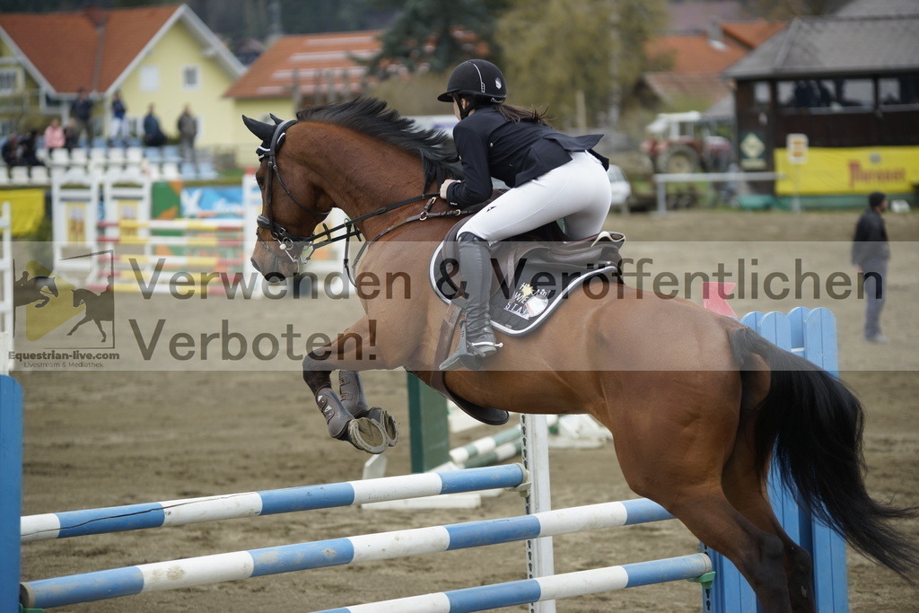 _DSC7349 | equestrian-live-com