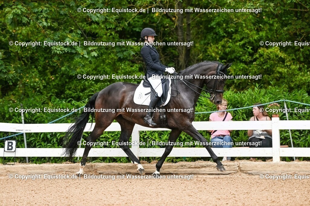 20230716_01_Dressurprüfung Kl.M_0042 | equistock