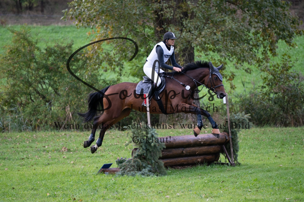 A7V02937 | Pferdefotograf