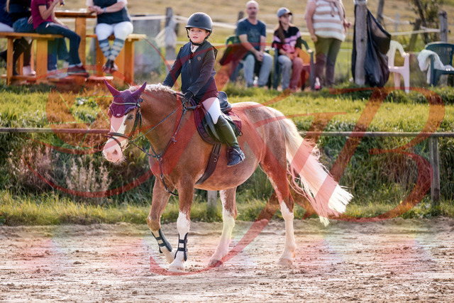 2026_10_03_Siefer-Hof_144531_Z81_21194196 | Professionelle Reitsport-, Turnier- und Eventfotografie von Robert Broda. Galerien mit ausgewählten und bearbeiteten Bildern direkt online ansehen und bestellen.