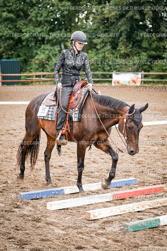 DSC03201 | Pferdegrafie