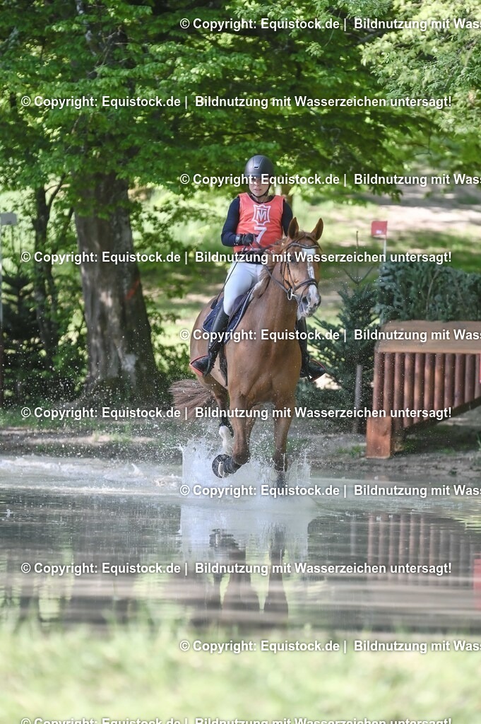20250517_CCI2_Gelände_0309 | Foto: Thomas Hartig