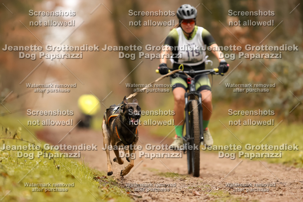 Dog Paparazzi - Speedhunter Mannheim  2025-315 | Dog Paparazzi Jeanette Grottendiek Fotografie & Videografie