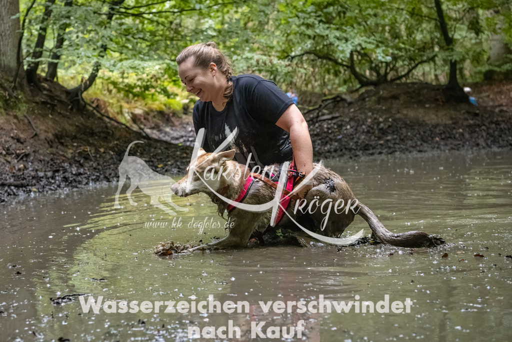 1119_ZZ90597-Bearbeitet-2 | kk-dogfotos