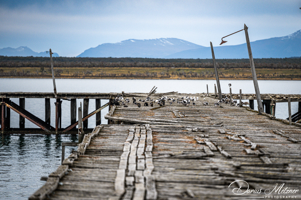 Puerto Natales  | Puerto Natales