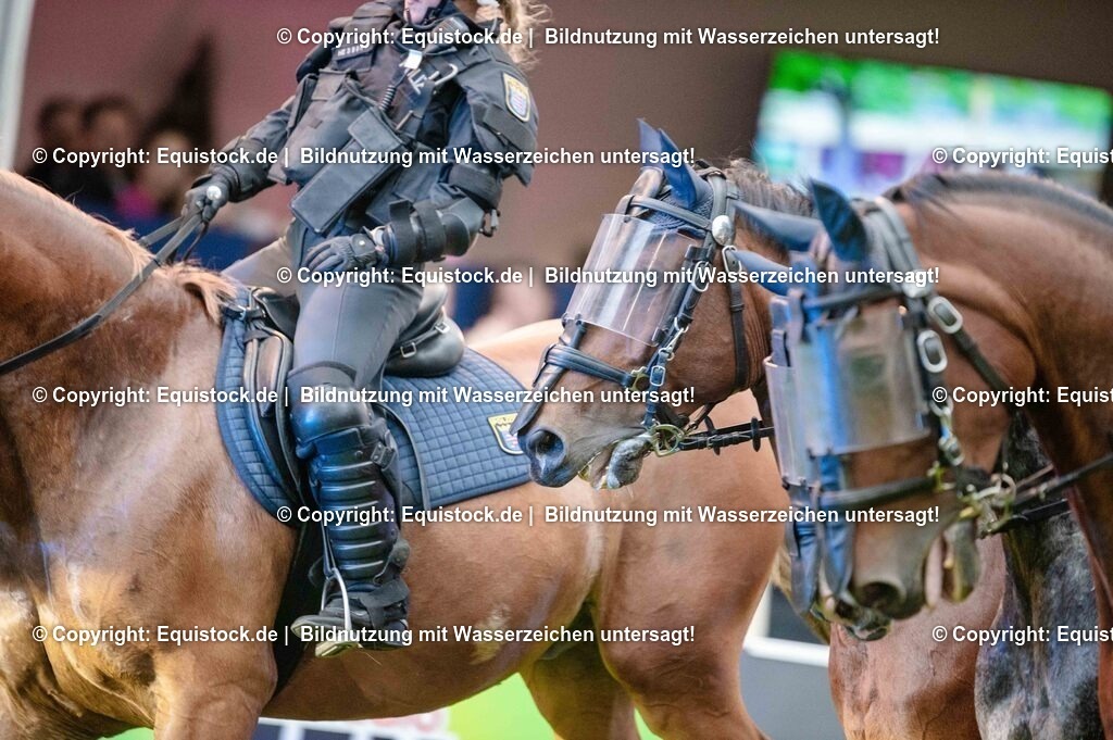 20250606_Lange-Pferdenacht_0828 | Foto: Thomas Hartig