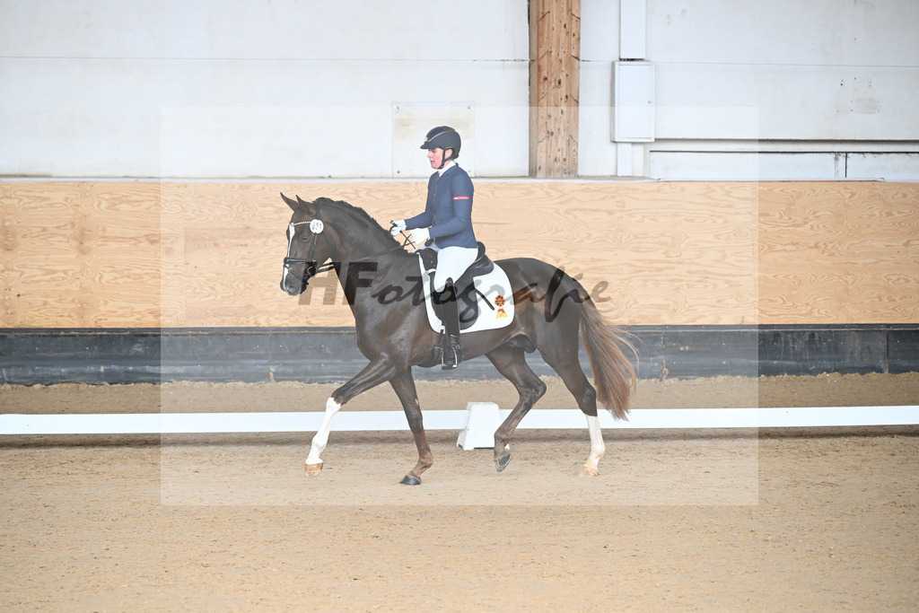 Kat-Nr. 1 Bastiano v. Benicio_Galneder_5240029 | hf-fotografie - Realisiert mit Pictrs.com