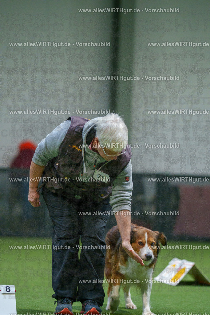 7R504075 | Professionelle Tierfotografie in Mönchengladbach von Daniel Wirth (allesWIRTHgut). Liebevolle & natürliche Bilder von Hunden & Katzen für unvergessliche Erinnerungen.